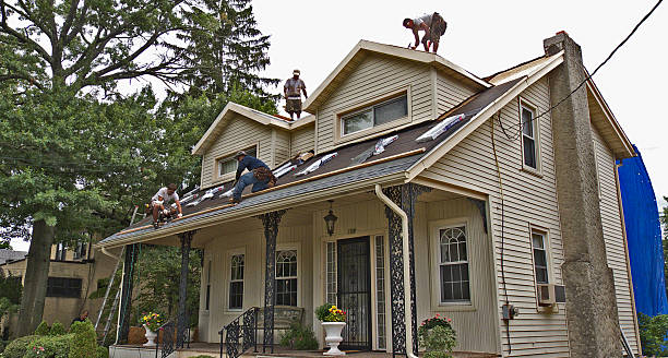 Best Roofing Contractor Near Me  in St Anne, IL